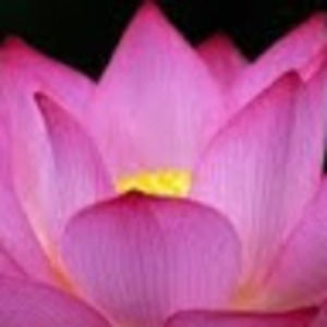 Meet your Posher, Kent